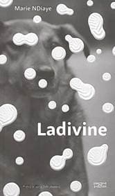 Ladivine - Marie NDiaye 1