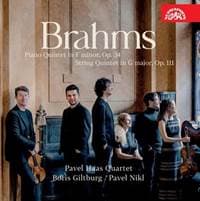 Brahms Kvintety op. 34 & 111 - Pavel Nikl, Veronika Jarůšková, Marek Zwiebel