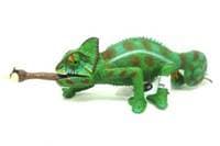 Chameleon - autor neuvedený 1