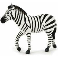 Zebra - autor neuvedený 1