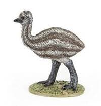 Emu mládě - autor neuvedený 1