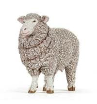Ovce merino - autor neuvedený 1