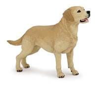 Labrador - autor neuvedený 1