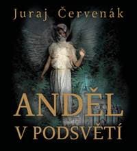 Audiokniha Anděl v podsvětí (CD) - CD