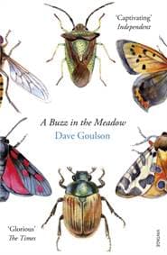 A Buzz in the Meadow - Dave Goulson, Vintage Publishing