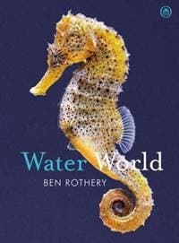 Water World - autor neuvedený 1