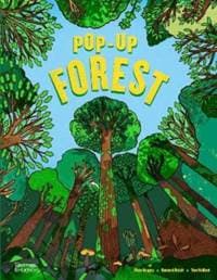 Pop-Up Forest - autor neuvedený