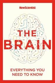 The Brain - New Scientist, John Murray 1