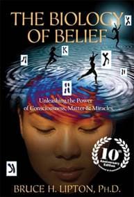 The Biology of Belief - Bruce H. Lipton, Hay House UK Ltd