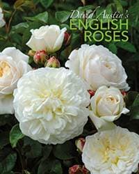 David Austins English Roses - David Austin, ACC Art Books