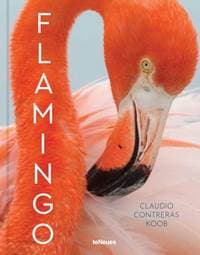 Flamingo - Claudio Contreras Koob, teNeues 1