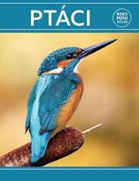 Ptáci miniatlas - autor neuvedený