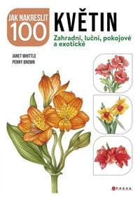 Jak nakreslit 100 květin - kolektiv 1