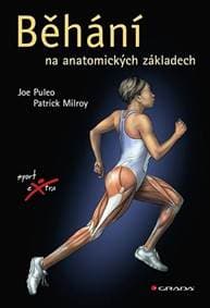 Běhání na anatomických základech - Kolektív autorov