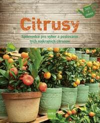 Citrusy - Ferioli Eliana 1