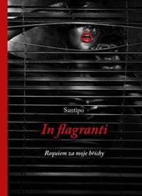 In flagranti - Requiem za moje hříchy - Santipo 1