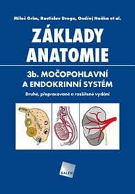 Základy anatomie. 3b - Močopohlavní a endokrinní systém - Grim, Rastislav Druga Miloš