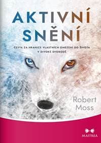 Aktivní snění - Robert Moss 1