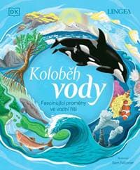 Koloběh vody - autor neuvedený 1