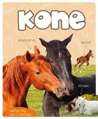 Kone - autor neuvedený 1