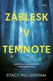 Záblesk v temnote - Willingham Stacy 1