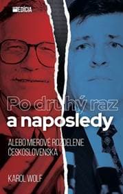 Po druhý raz a naposledy alebo Mierové delenie Československa - Wolf Karol