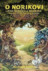 O Norikovi - Chvátil Vladimír