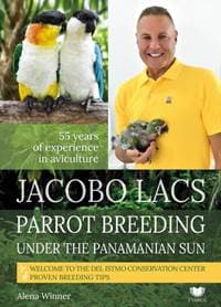Parrot breeding unter the Panamanian Sun - Lacs Jacobo 1
