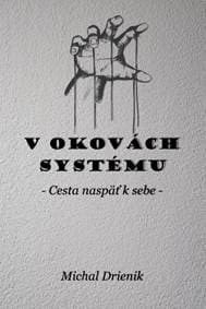V okovách systému - Michal Drienik