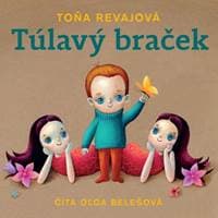 Túlavý braček (audiokniha na CD) - Toňa Revajová
