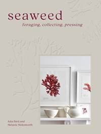 Seaweed - Melanie Molesworth, Julia Bird, HarperCollins