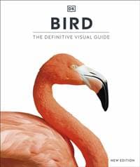Bird - autor neuvedený 1