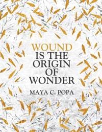 Wound is the Origin of Wonder - Maya C. Popa, Pan Macmillan 1