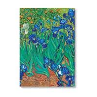 Van Gogh’s Irises Midi Adresár - autor neuvedený