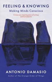 Feeling and Knowing - Antonio Damasio, Robinson