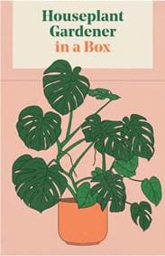 Houseplant Gardener in a Box - Jane Perrone, Skittledog 1