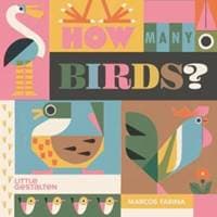 How Many Birds? - autor neuvedený