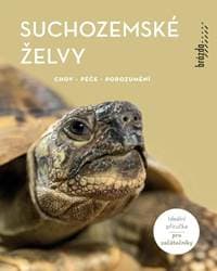 Suchozemské želvy - Rogner Manfred 1