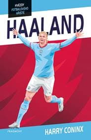 Hvězdy fotbalového hřiště - Haaland - Harry Coninx 1