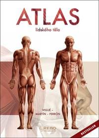 Atlas lidského těla - Vigué Jordi 1