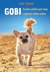 Gobi - Dion Leonard 1