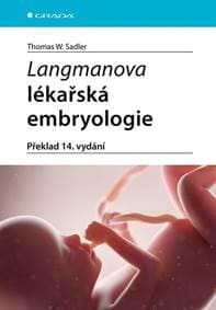 Langmanova lékařská embryologie (překlad 14. vydání) - Sadler Thomas W. 1