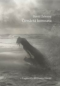 Čtrnáctá komnata - Železný David 1