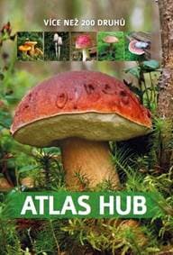 Atlas hub - Zarawska Patrycja 1