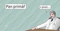Pan primář v praxi... - autor neuvedený