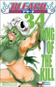 Bleach 34 - Tite Kubo 1