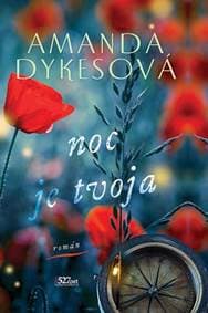 Noc je tvoja - Amanda Dykesová 1