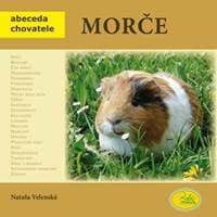 Morče - Abeceda chovatele - Velenská Nataša 1