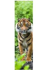 3D záložka - Tiger - autor neuvedený 1