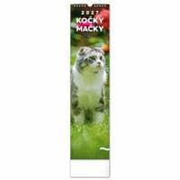 NOTIQUE Nástenný kalendár Mačky 2027, 12 x 48 cm - autor neuvedený